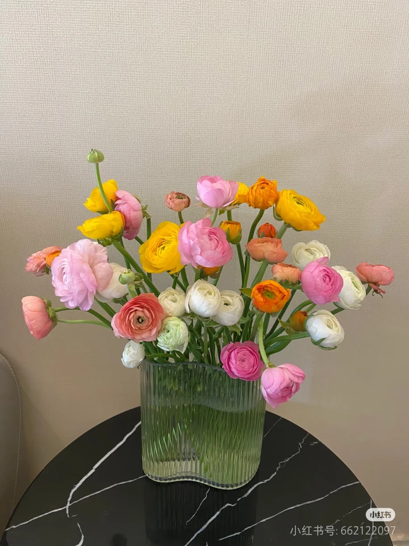 同城配送  乱摆都好看的【洋牡丹】1扎