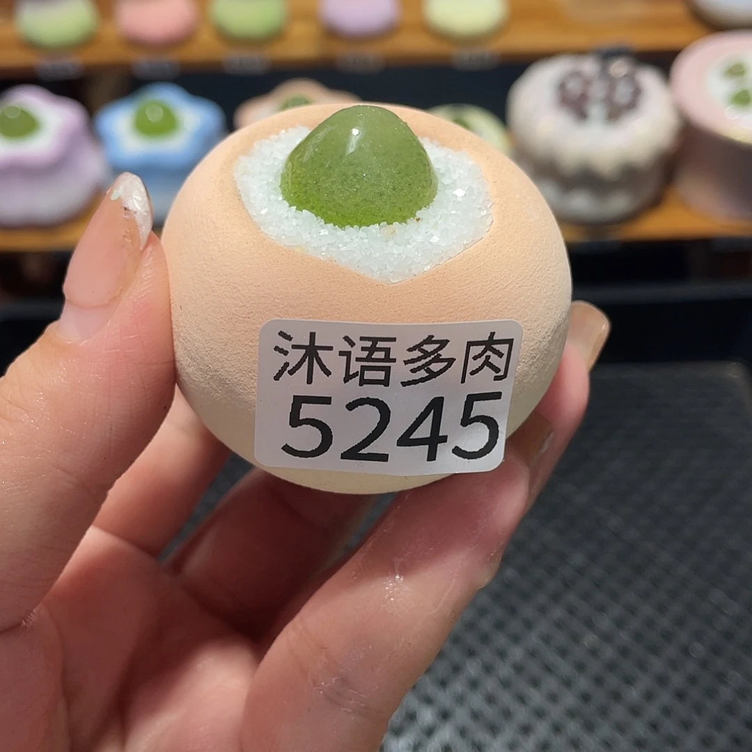 *****带盆土植物 一物一拍5245