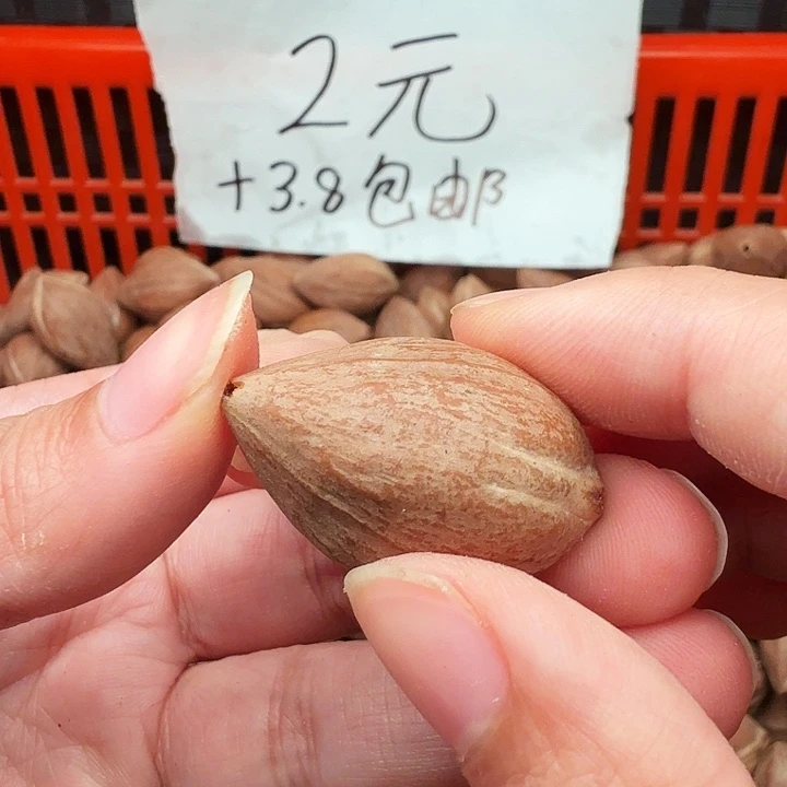 带***司手串/手链橄榄核橄榄