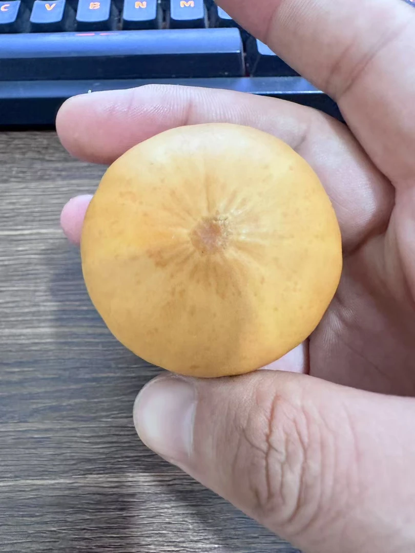 精品把玩虞美人小葫芦