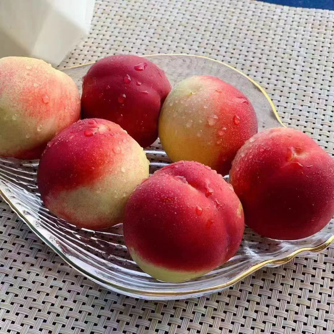 新鲜脆甜珍珠枣油桃当季应季水果
