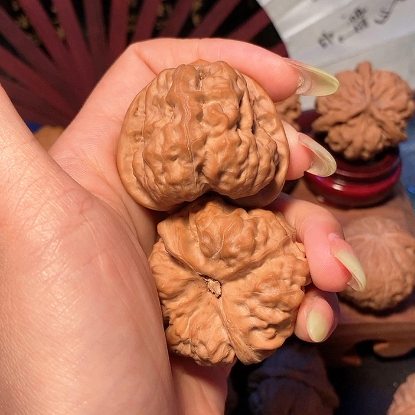 【闪购商品】把件文玩核桃灯**珊核桃