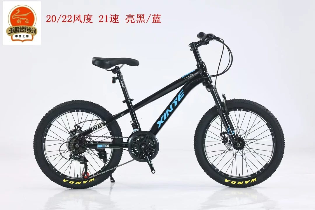 上海凤凰新业公司20/22风度