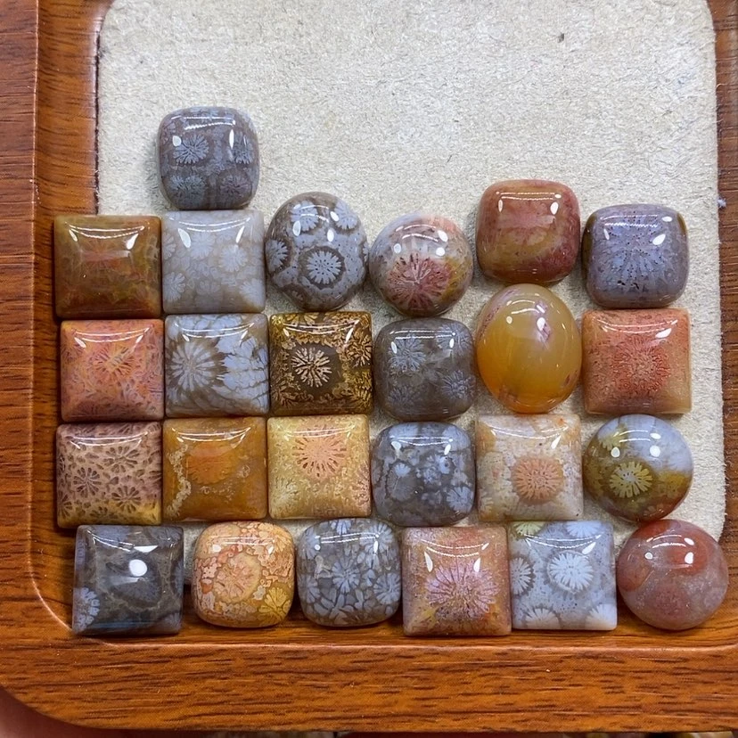 【闪购商品】硅化珊瑚（珊瑚玉）颈饰未镶嵌k 8