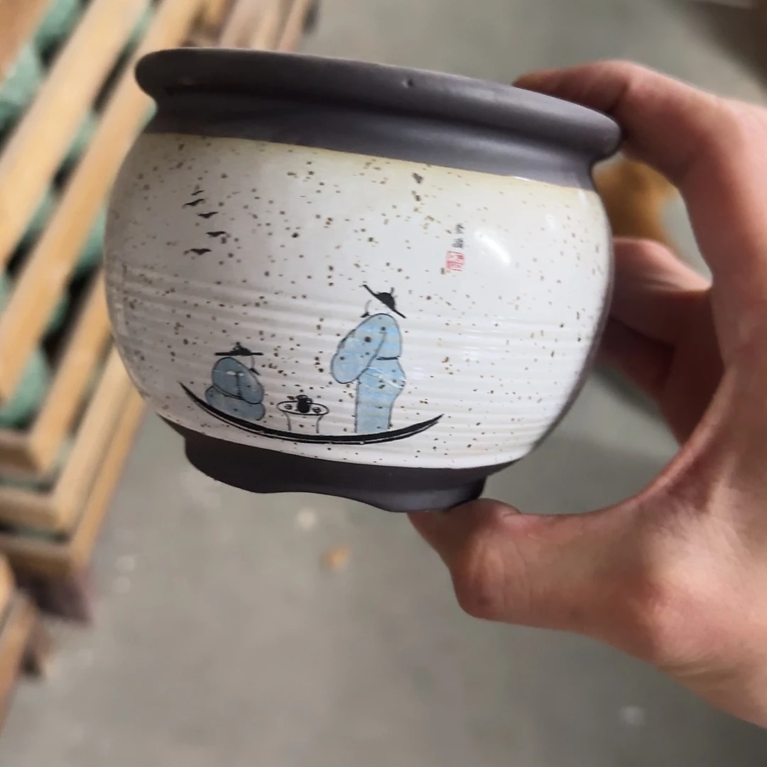 福利局绿植多肉盆［凑9元包邮24小时发］