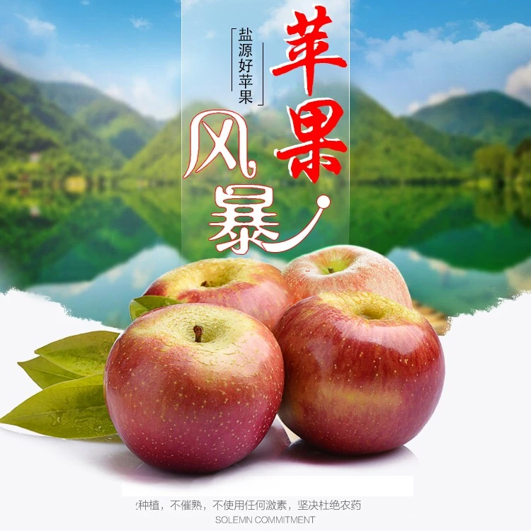 大凉山红富士冰糖心丑苹果新鲜脆甜多汁现摘水果