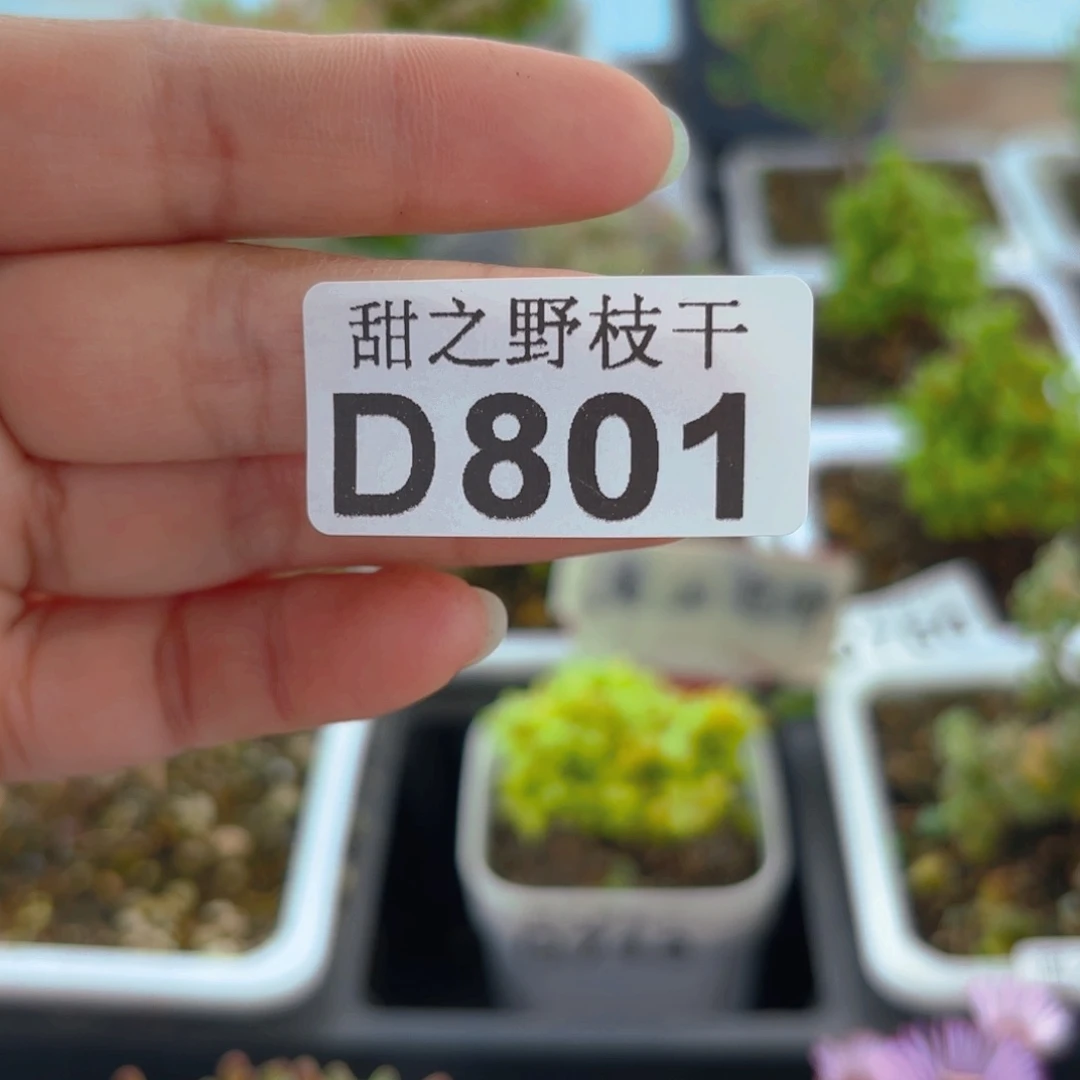 默****.盆 差价801。