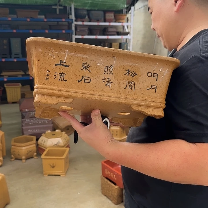 紫砂花盆这是我第一