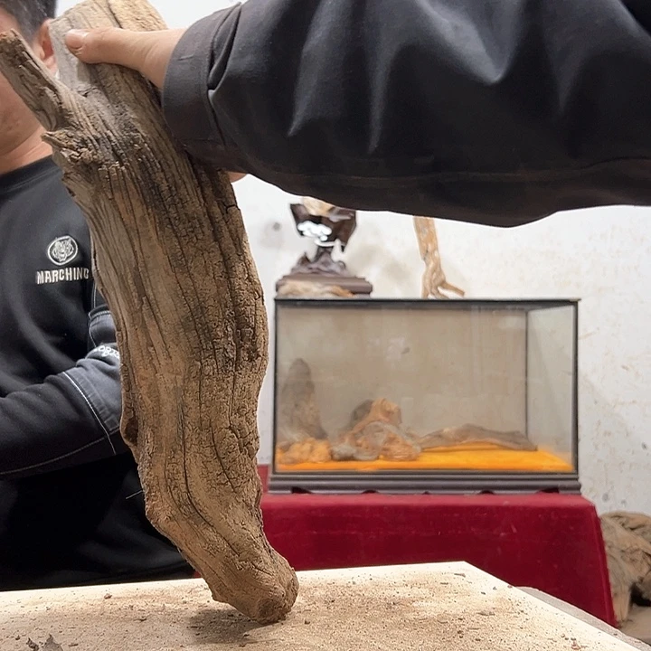 柏木古**香我们的生活也是如此