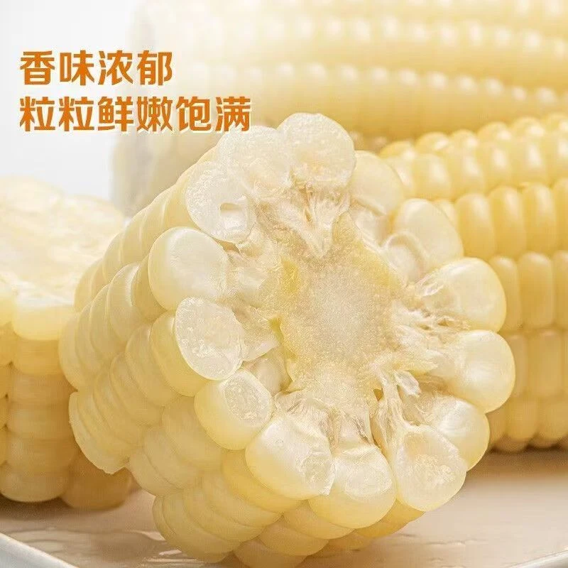 新鲜农家白糯玉米段到手5-6斤软糯香甜