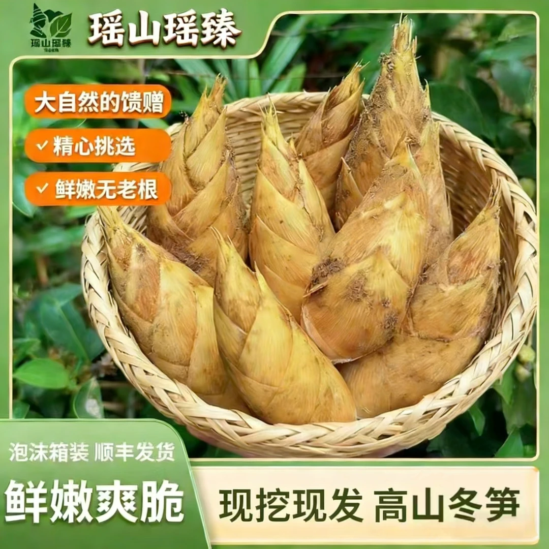 京东包邮新鲜现挖高山两头尖冬笋肉厚脆嫩饱满