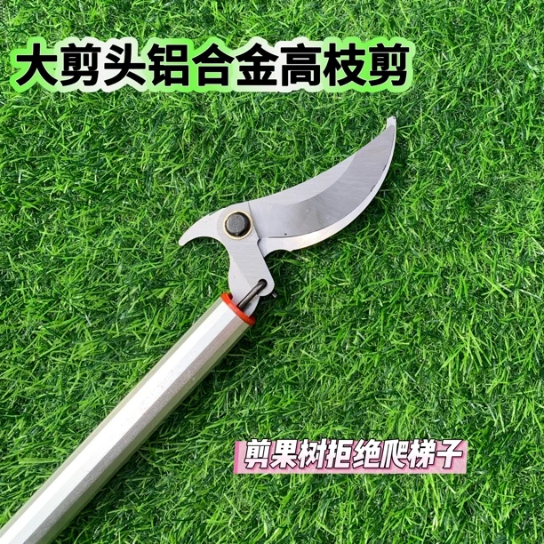 冬白槐米剪大剪头高枝剪剪槐米剪水条背条剪香椿