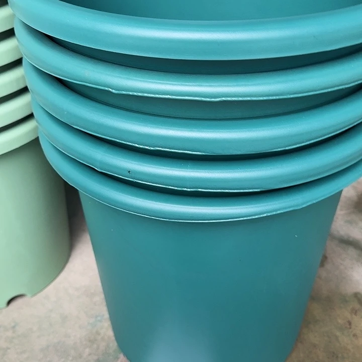 编号编号编号2268