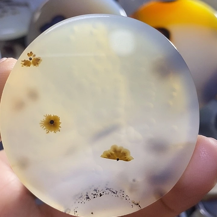 未镶嵌颈饰玛瑙/玉髓轩**康