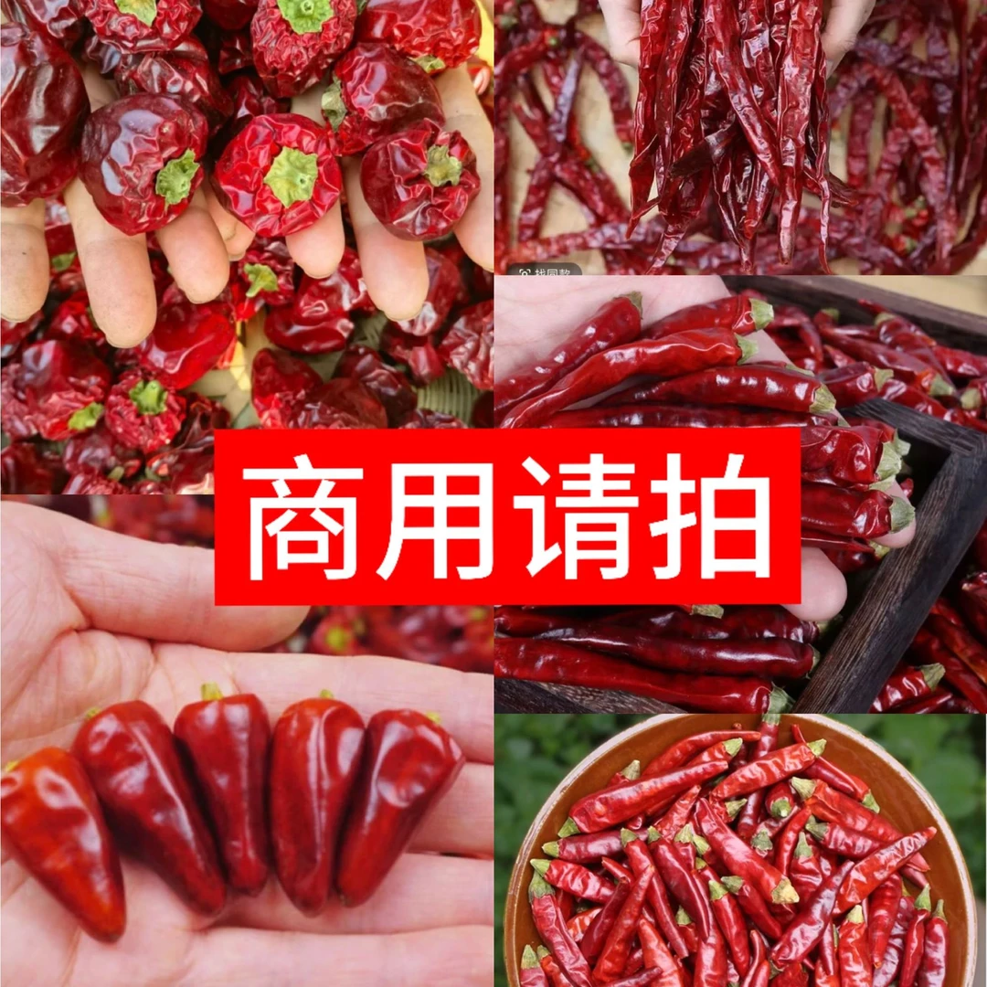 商用请拍(贵州辣椒)