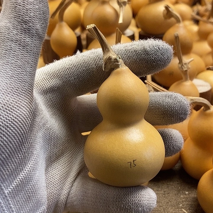 文玩葫芦 完美主义者 慎拍75