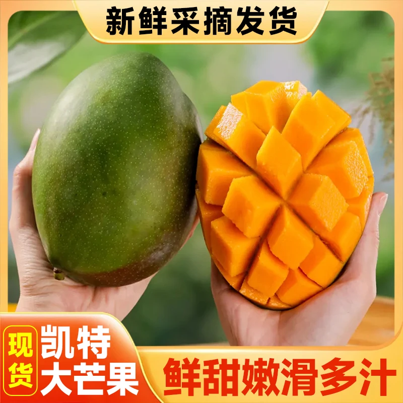 【放软食用】攀枝花芒果凯特大脸芒酸甜多汁芒果香味浓现摘现发水果