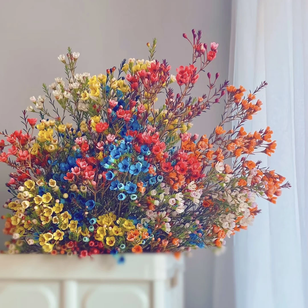 【买1送1到手2把】【5度以下拍保温棉】腊梅300g