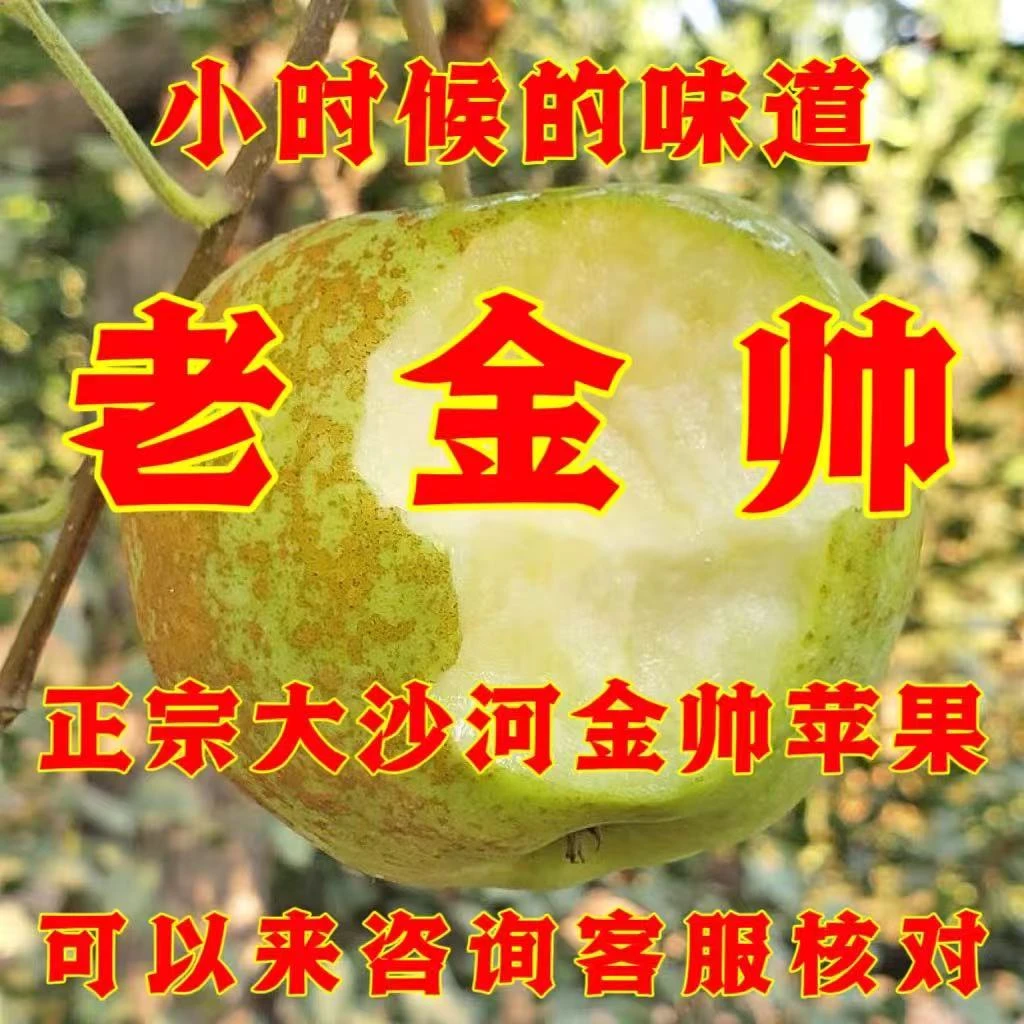 【酸甜】新鲜金帅苹果酸脆新鲜水果青香蕉整箱批发产地直发