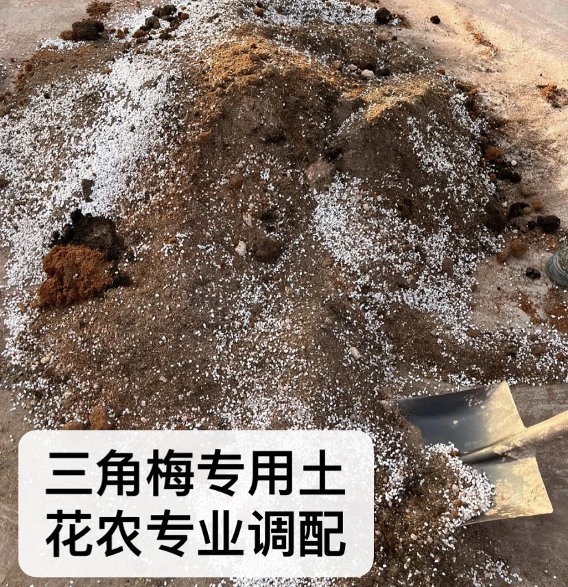三角梅专用土花农调配好土壤疏松透气