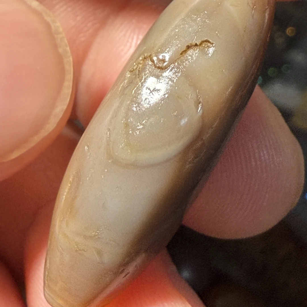 千岁眼中眼显圣老缠丝