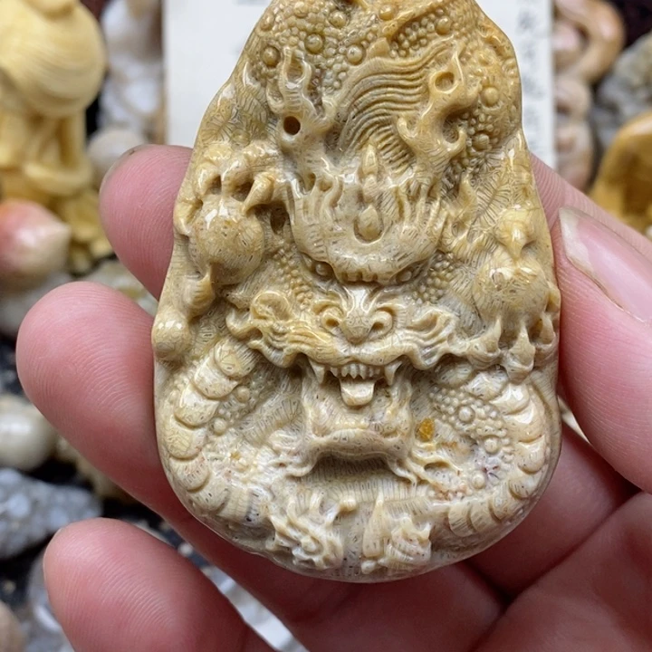 颈饰未镶嵌硅化珊瑚（珊瑚玉）