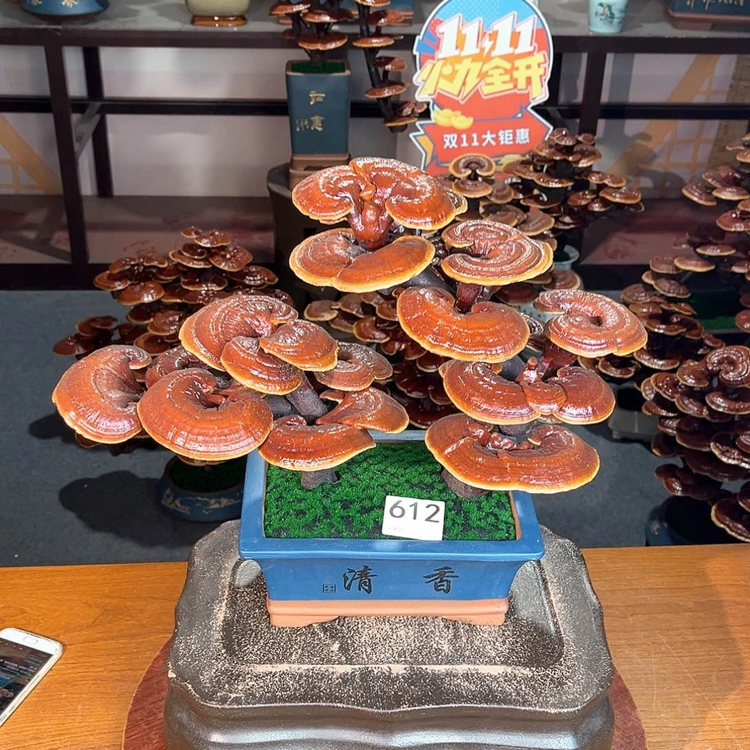 无花朵万事如意8888888888888