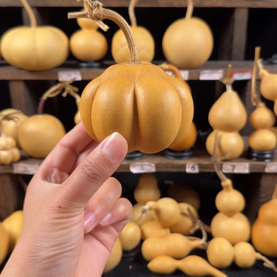 一****葫芦葫芦葫芦葫芦葫芦葫芦