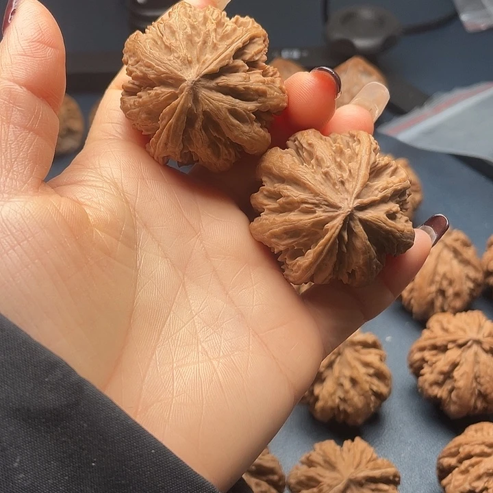 雾***都把件龙脊菩提秦岭核桃