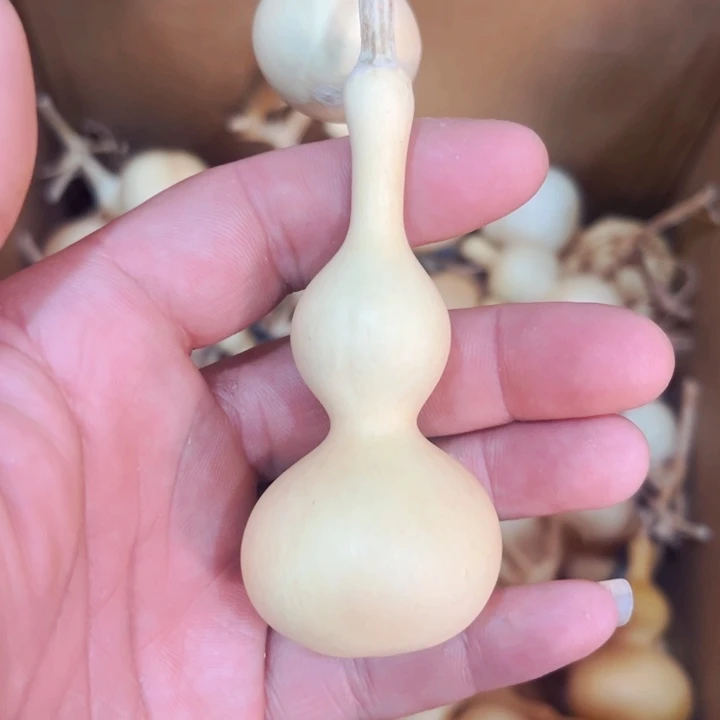 怡**远文玩葫芦八宝葫芦