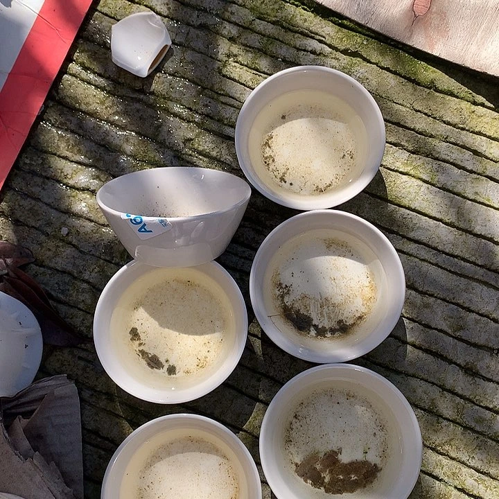 碗陶瓷艺术作品欣赏