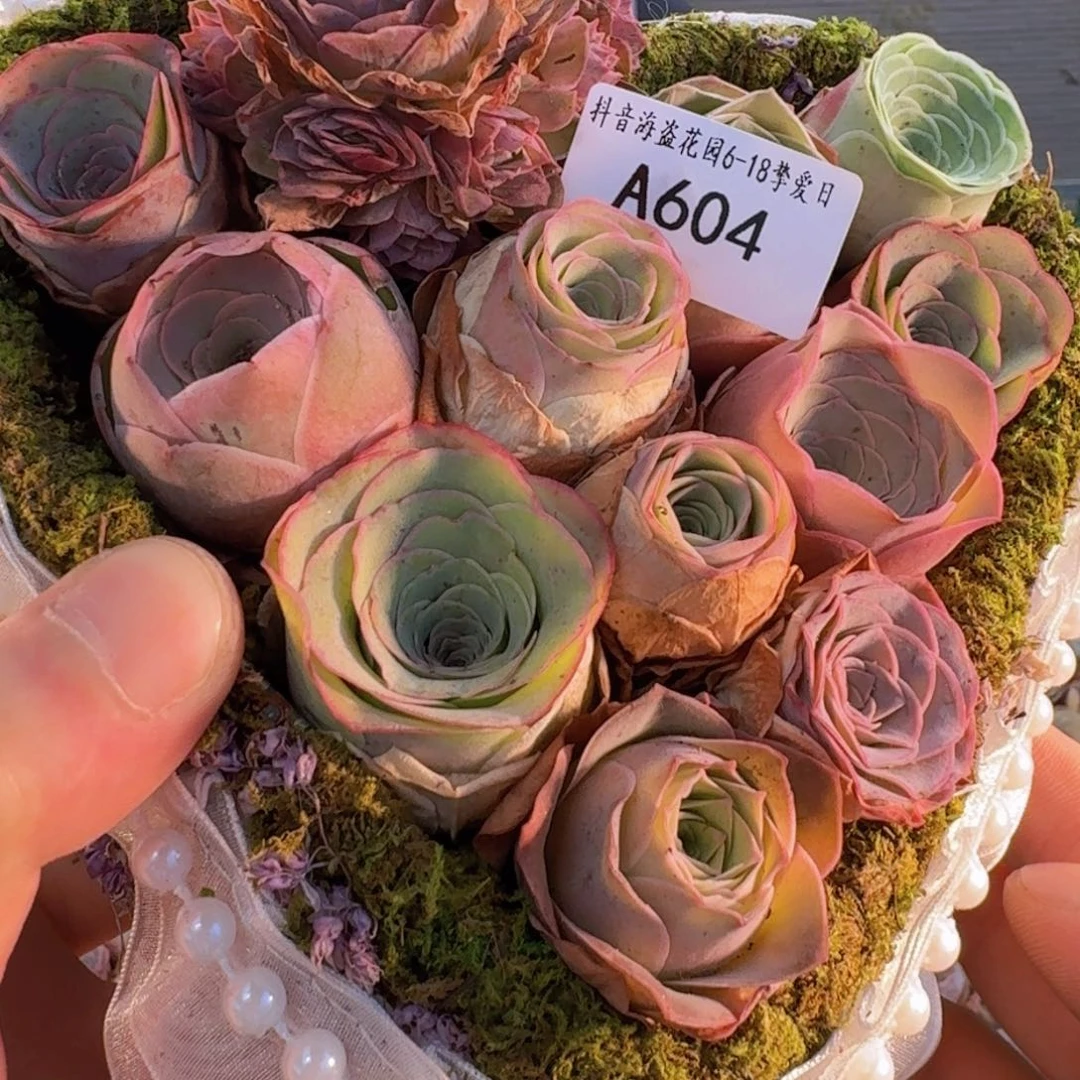 A604 苔藓心形花篮玫瑰组合
