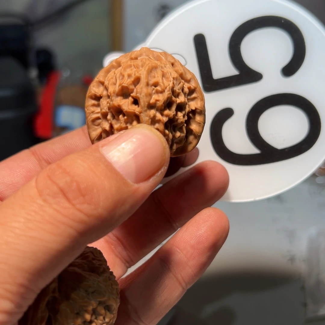 R***2文玩核桃，白色65号