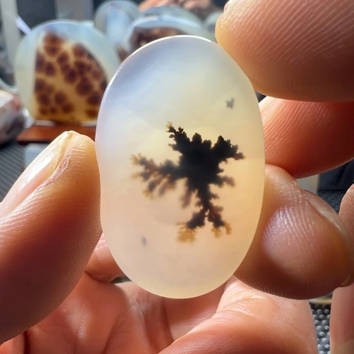 未镶嵌玛瑙/玉髓珠宝奇石