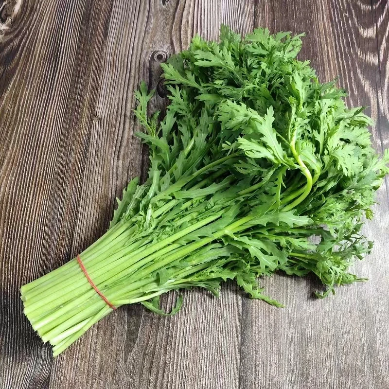 新鲜小叶茼蒿菜农家自种皇帝菜现摘现发火锅配菜