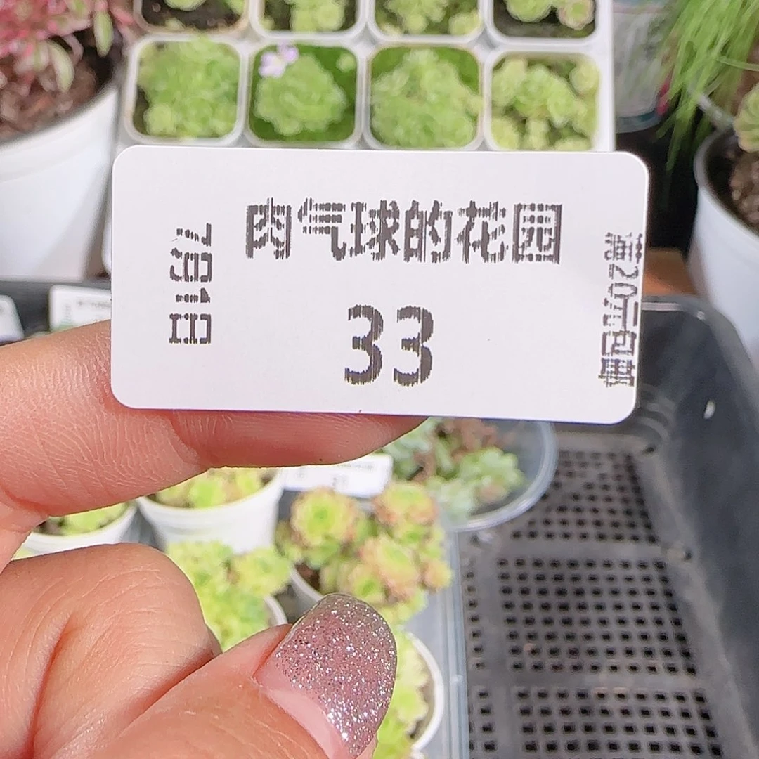 0701-,-33糖心15颗1cm左右任意发
