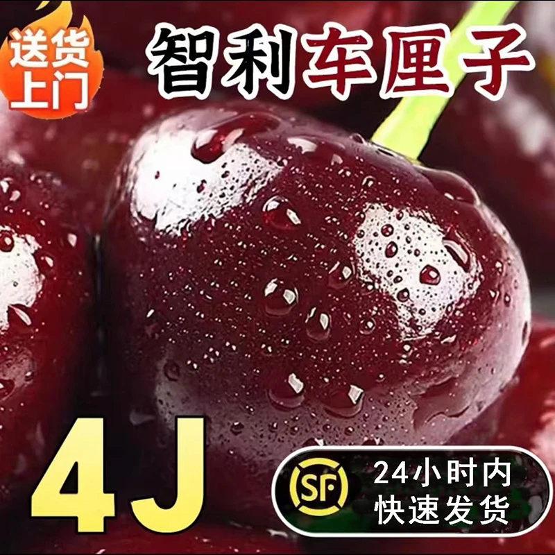 智利进口海运车厘子2JD-4JD新鲜水果5斤原箱顺丰包邮内附果径卡