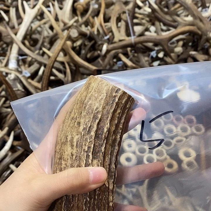 骏***姿鹿角鹿角鹿角鹿角鹿角