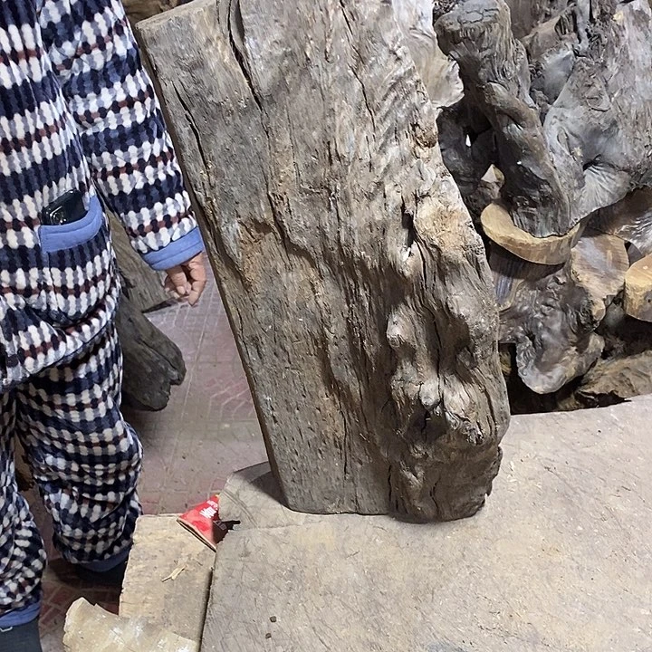 乌木类富**华金丝楠木小叶