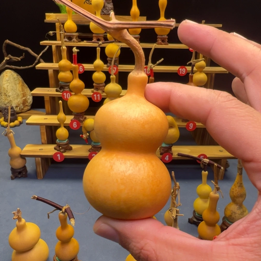 是****葫芦等多种颜色的qqq