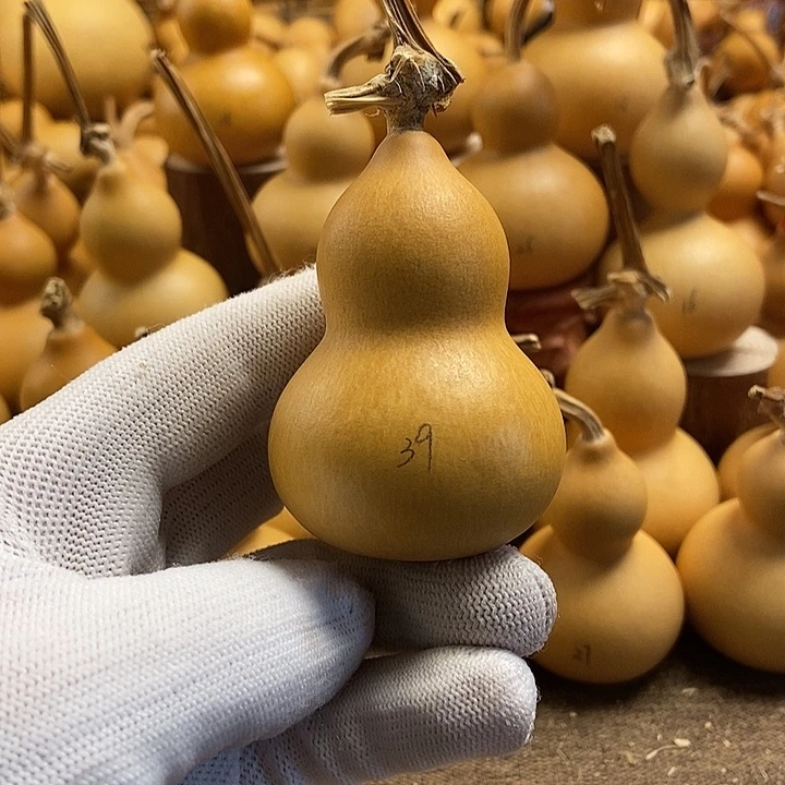 文玩葫芦 完美主义者 慎拍39