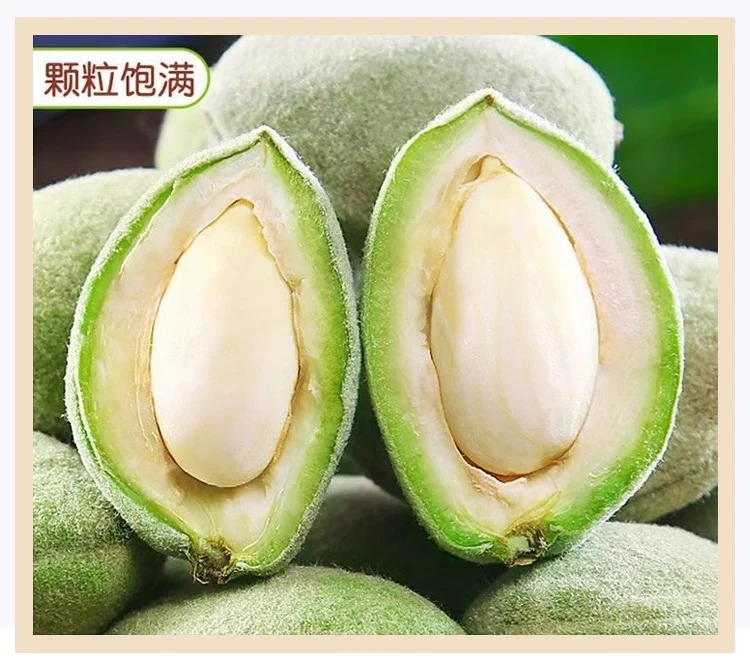 现摘绿皮巴旦木当季水果带青壳即食扁桃仁