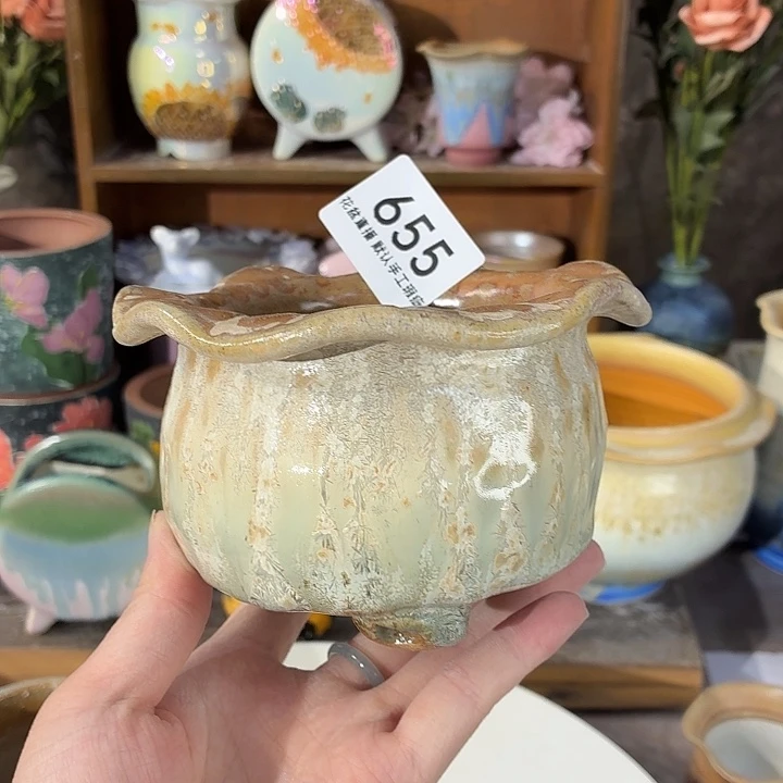 花盆花盆花盆花盆