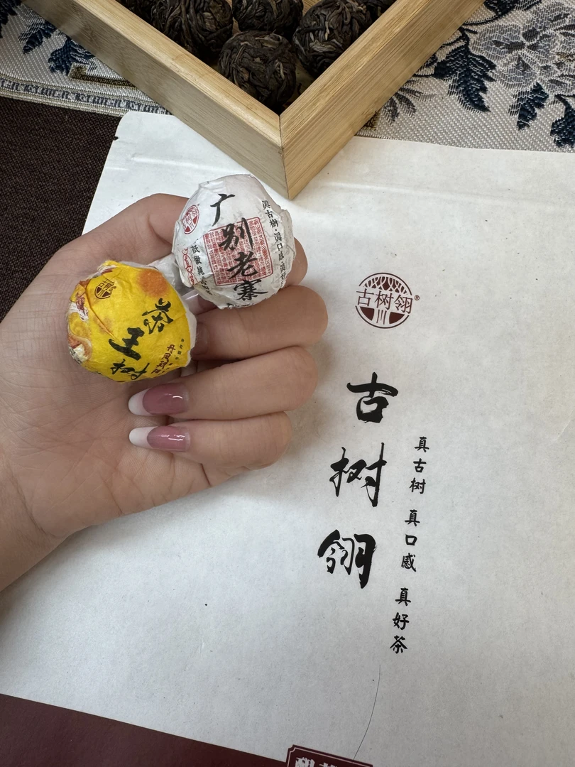 古树翎[茶王树、广别老寨]高端古树普洱生茶试饮装