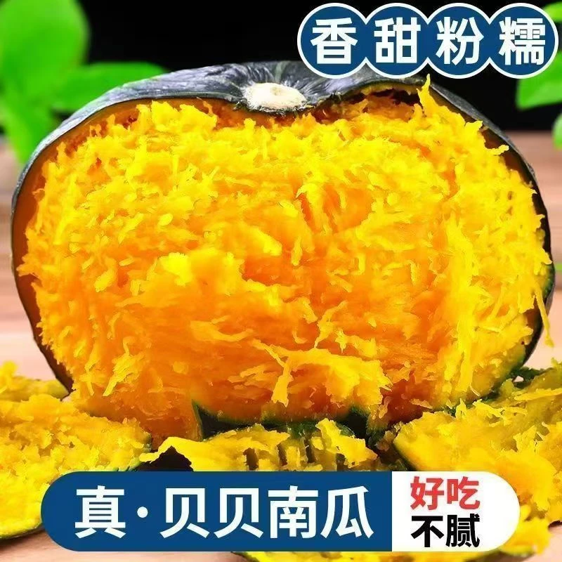 正宗贝贝南瓜沙土地种植板栗味老贝贝南瓜粉面干甜产地直发A