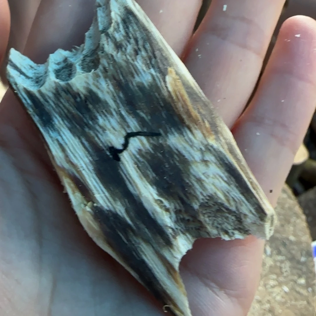 树脂制品3号奇楠原木一个