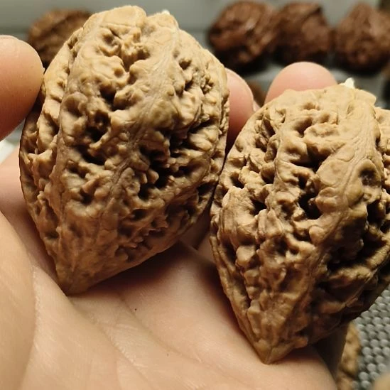 文玩核桃吊坠大楸核桃7号