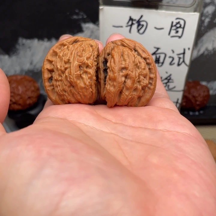 把件文玩核桃半壁江山白狮子
