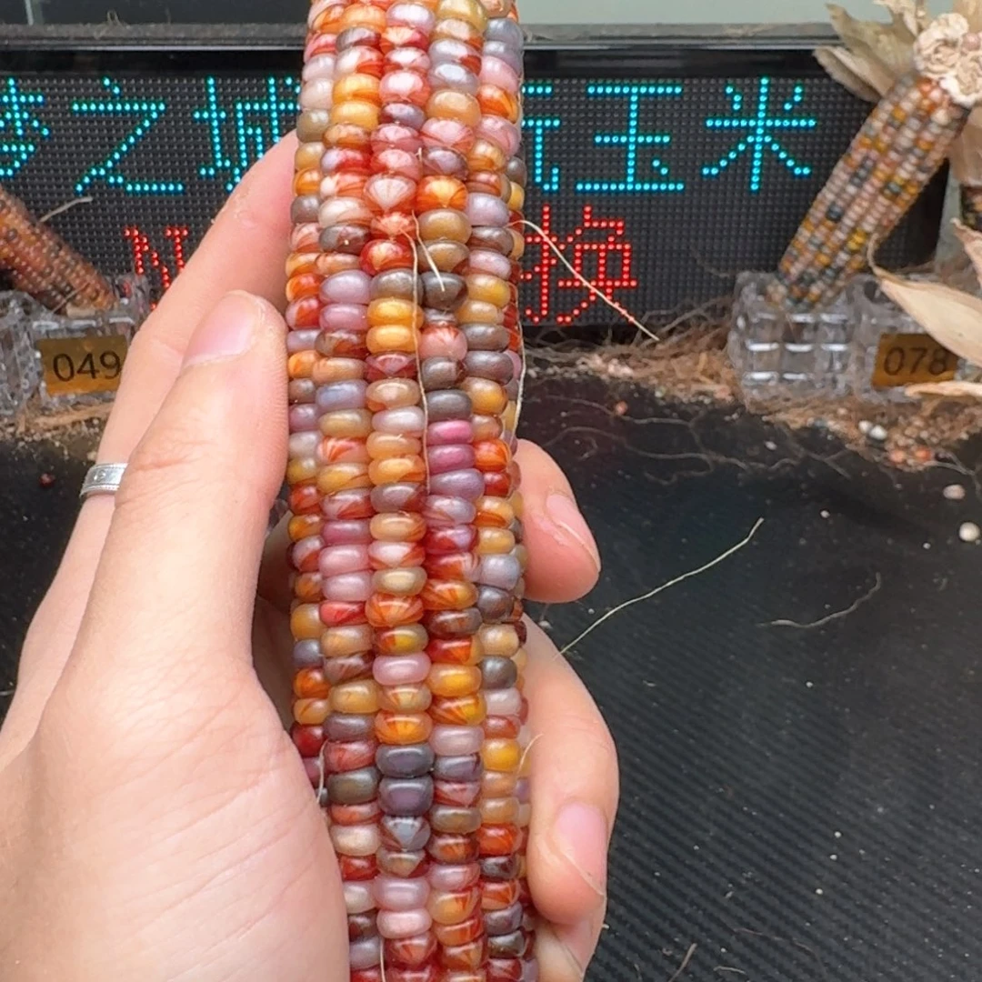 柏香籽/百香籽吊坠米*