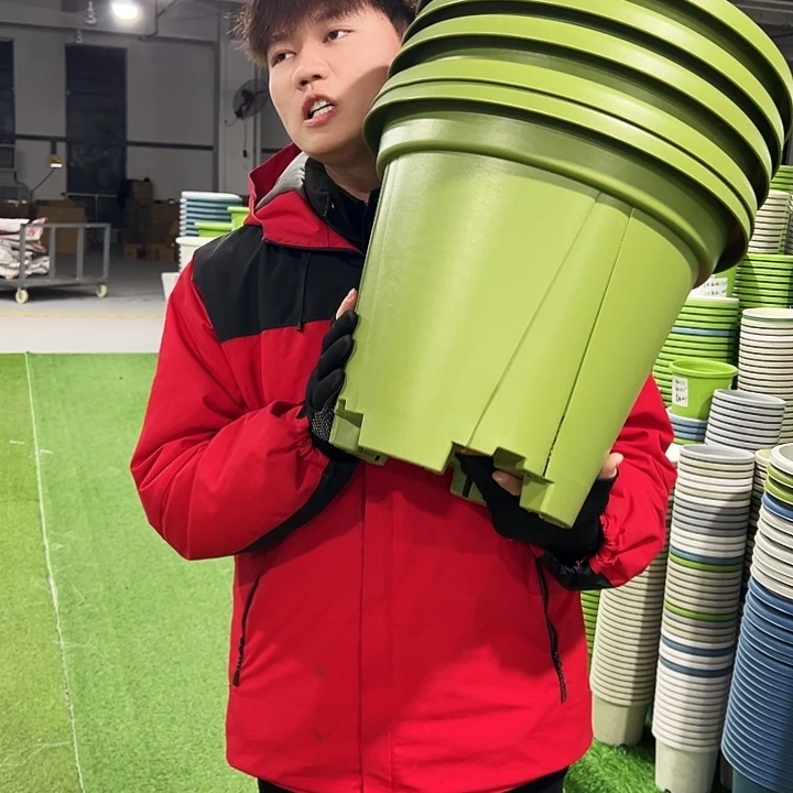 清仓青山口40高34果绿色5只无托